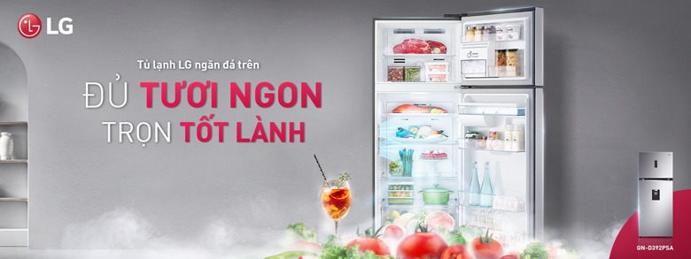 Tủ Lạnh LG Inverter 374 Lít GN-D372PSA