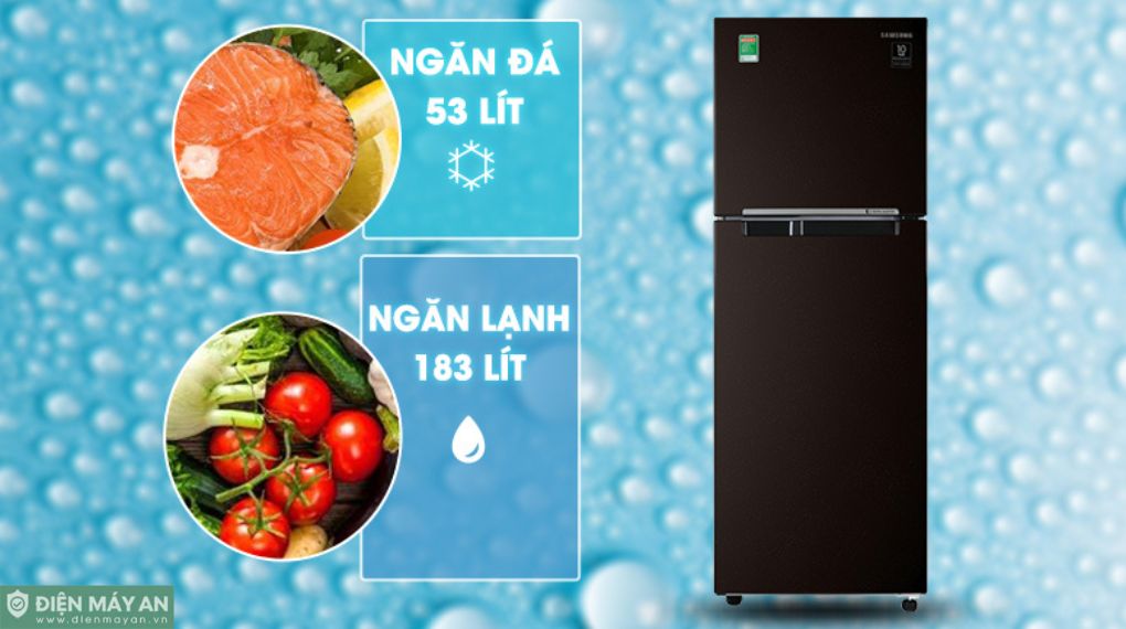 Tủ Lạnh Samsung Inverter 236 Lít RT22M4032BY/SV